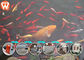 ফলন 3-4 টি / এইচ রোটরি স্প্রে মেশিনের সাথে ভাসমান মাছ ফীড উদ্ভিদ ডুবিয়ে